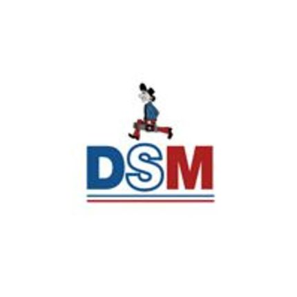 Logotyp från DSM Heizung - Der Solar-, Sanitär- & Heizungsbaumeister, Martin Eckhardt