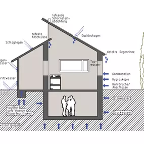 Bild von Schimmel Experten - Sirnach