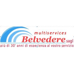 Bild von Multiservices Belvedere Sagl