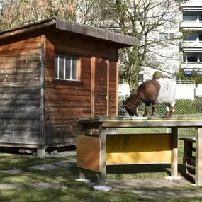 Bild von RIEDHOF Leben und Wohnen im Alter