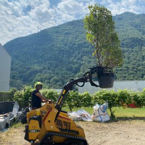 Bild von MOMO GIARDINI SA - GIARDINIERE LOCARNO, AFC / EFZ