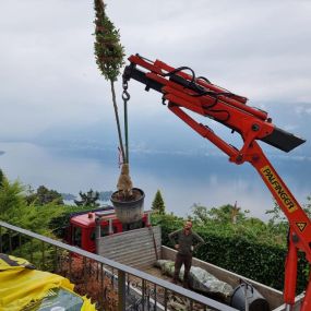 Bild von MOMO GIARDINI SA - GIARDINIERE LOCARNO, AFC / EFZ