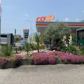 Bild von MOMO GIARDINI SA - GIARDINIERE LOCARNO, AFC / EFZ