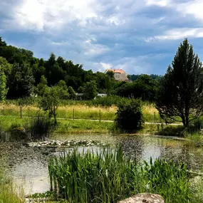 Bild von Alters- und Pflegeheim Sunneschyn