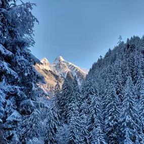 Bild von Gasthaus Häusling Alm