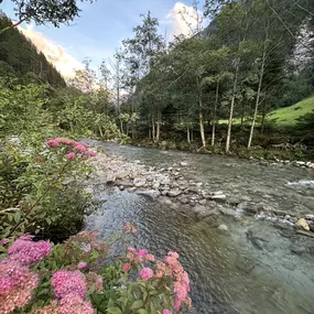 Bild von Gasthaus Häusling Alm