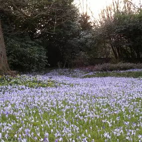 Bild von Hunziker Garten AG