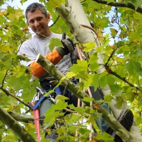 Bild von Hunziker Garten AG