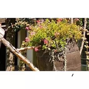 Gärtnerei Grohar - Inh. Alfons Grohar jun. in 9201 Krumpendorf am Wörthersee