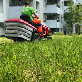 Bild von Demiri Gartenbau GmbH