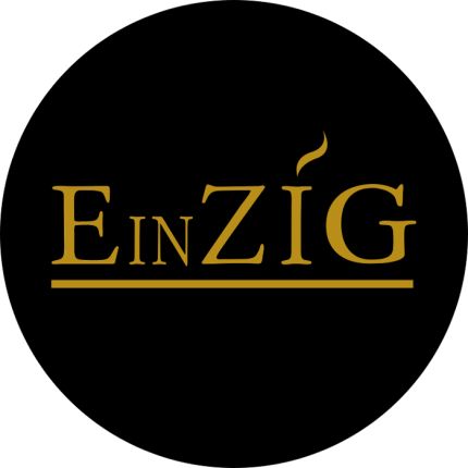 Logotipo de EinZIG