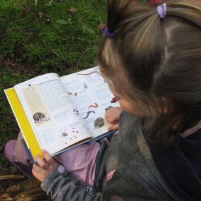 Naturnahes Lernen während der Waldwochen.