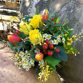 Bild von Kitzinger Blumen und Pflanzen
