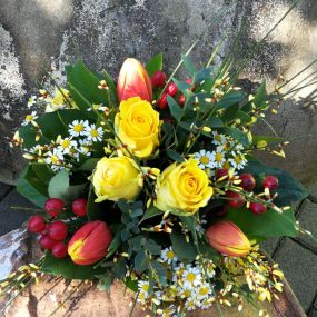 Bild von Kitzinger Blumen und Pflanzen