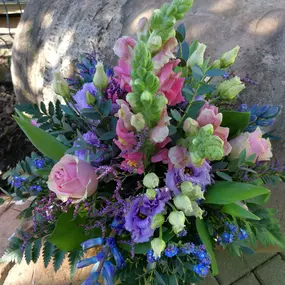Bild von Kitzinger Blumen und Pflanzen