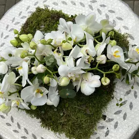 Bild von Kitzinger Blumen und Pflanzen