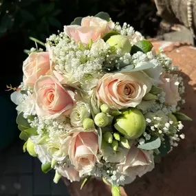 Bild von Kitzinger Blumen und Pflanzen