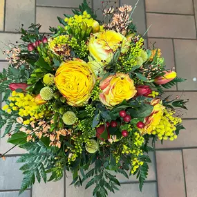 Bild von Kitzinger Blumen und Pflanzen