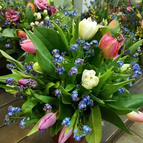 Bild von Kitzinger Blumen und Pflanzen