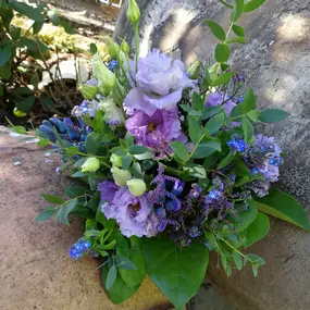 Bild von Kitzinger Blumen und Pflanzen