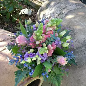 Bild von Kitzinger Blumen und Pflanzen