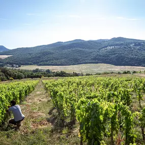 Bild von Chronos Wine Cellar SA