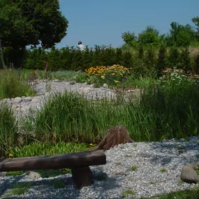 Bild von LEDER Garten- + Landschaftsbau