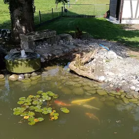 Bild von LEDER Garten- + Landschaftsbau