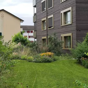 Bild von LEDER Garten- + Landschaftsbau