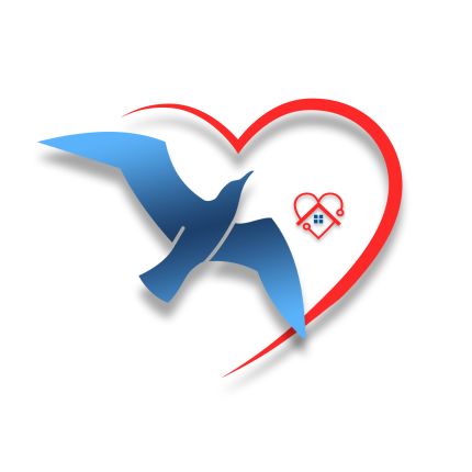 Logo fra Il Gabbiano - Assistenza Infermieristica di Base e Psichiatrica, Cure a domicilio