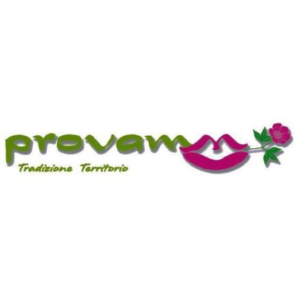 Logo da ProVaMM Sagl