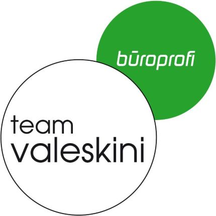 Logotipo de büroprofi Valeskini