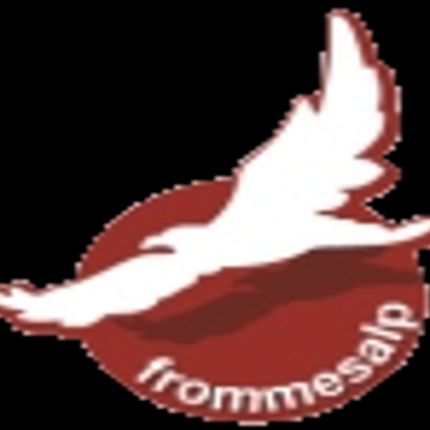 Logotipo de Frommes - Alp Fam. Schmid KG