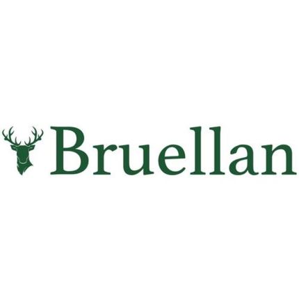 Logotipo de Bruellan SA