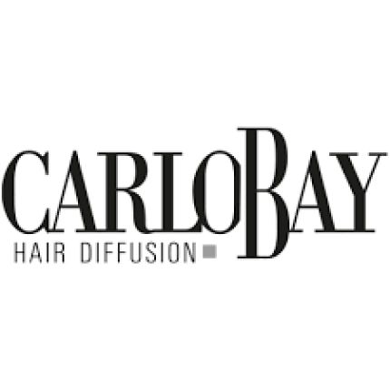 Logo from Carlo Bay Hair Diffusion