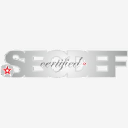Logo od SEODEF UG (haftungsbeschränkt)