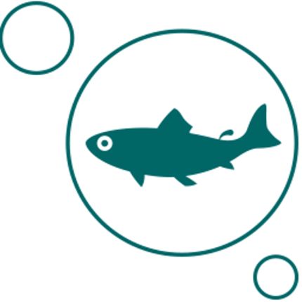 Logo von Rubigenhof Fischzucht AG