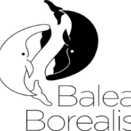 Logo de Balea Borealis : Massages & Soins énergétiques