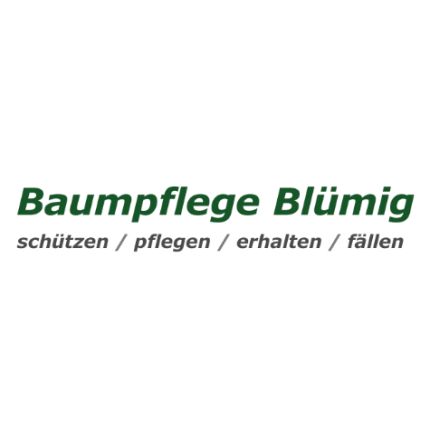 Logo von Baumdienst Blümig - Baumpflege & Baumfällung Eisfeld