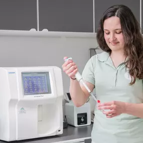 Tierarztpraxis Rühling