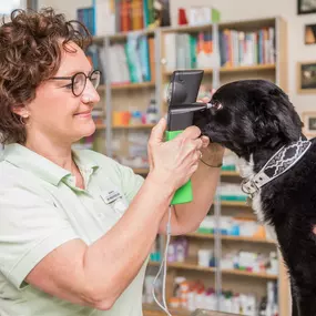 Tierarztpraxis Rühling