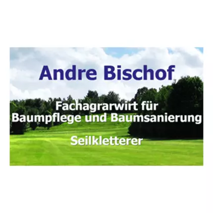 Logo von Bischof Andre Seilkletterer