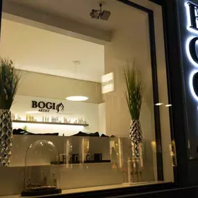 Bogi Artist