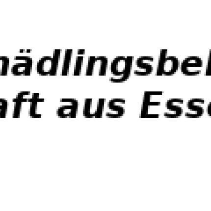 Logo de Schädlingsbekämpfung Kraft