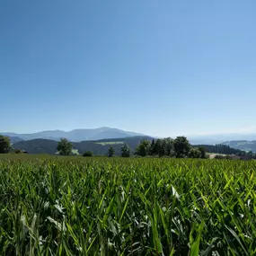 Hotel Gasthof Deixelberger