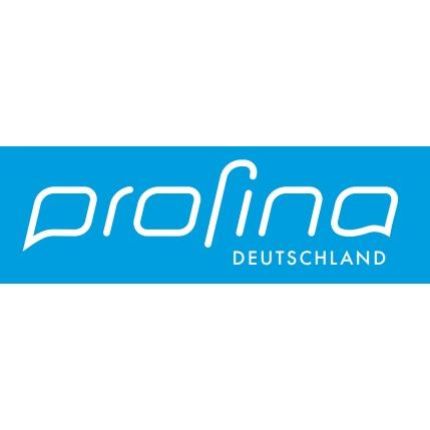 Logo de ProFina - Spiros Kemourtzis