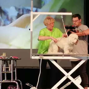 Bild von Hundesalon Pfiffikus
