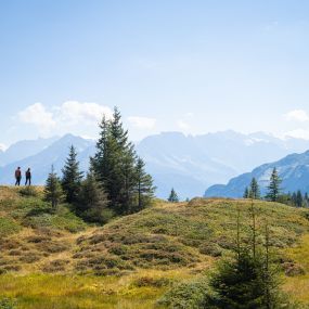 Hochmoor Haslital