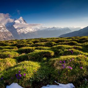 Frühling in Grindelwald