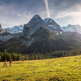 Frühling im Haslital